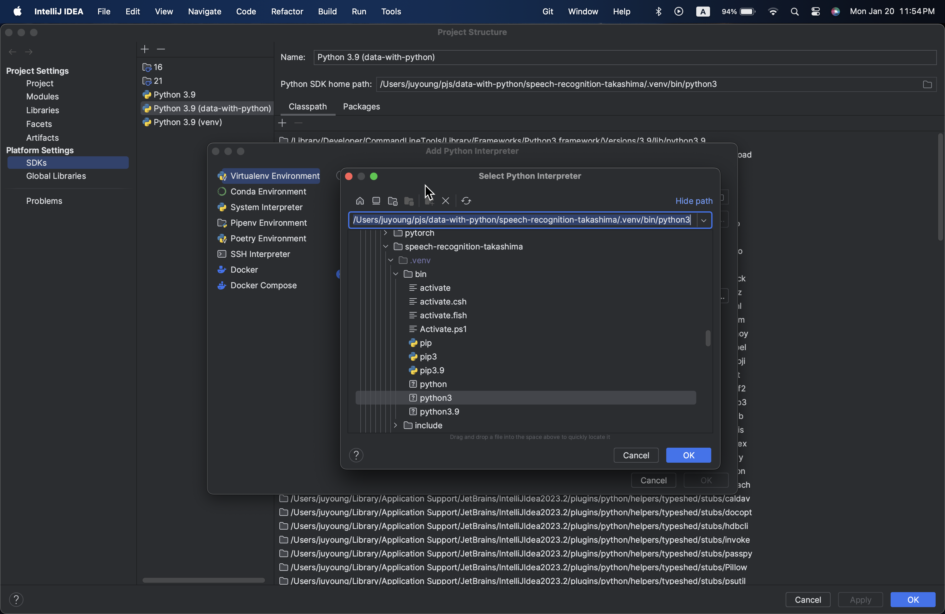intellij project structure platform setting sdks